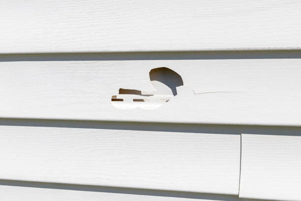 How To Choose The Right Materials for Your Siding Installation in 'Manning, IA